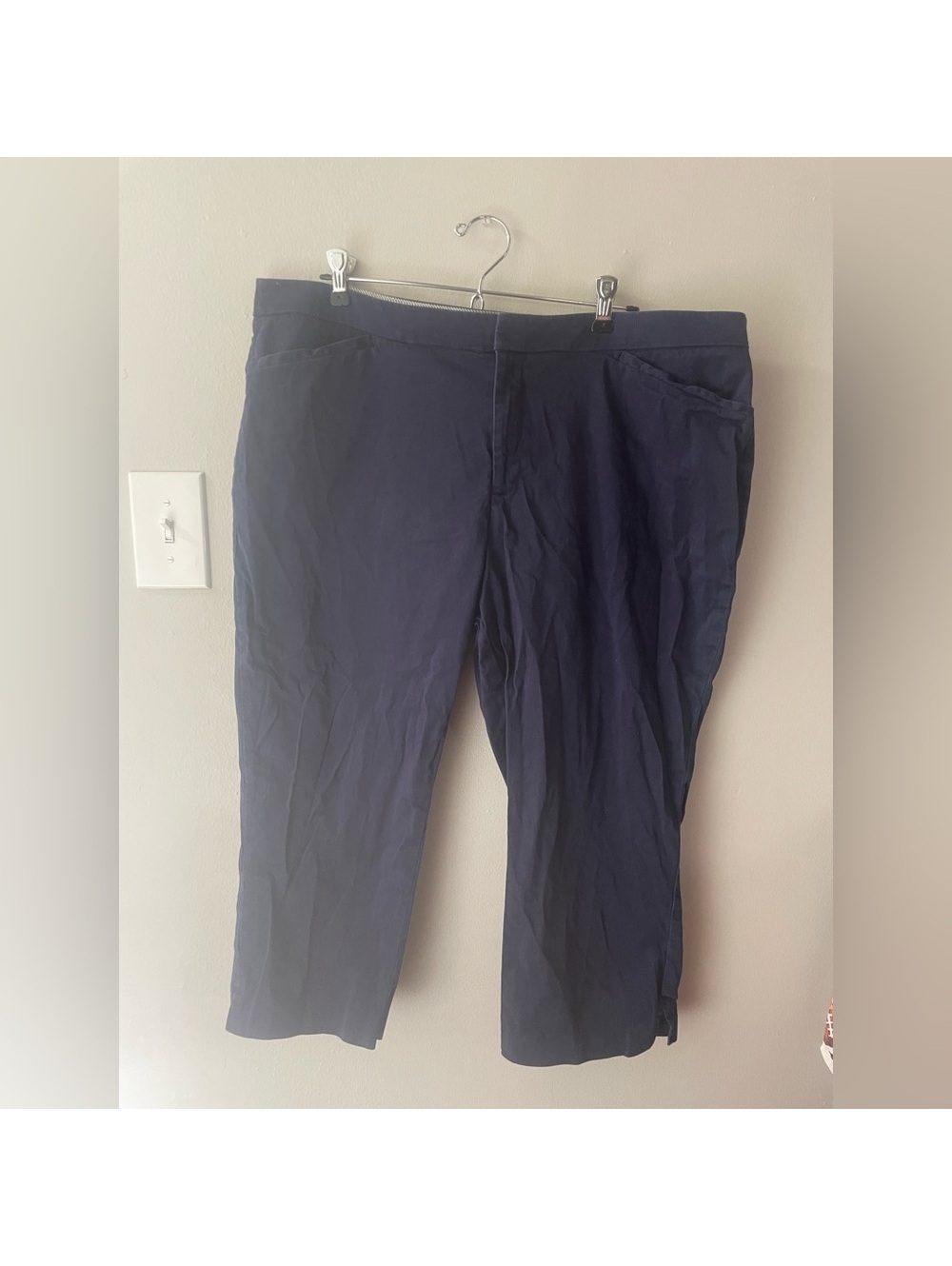 Women’s Coldwater Creek Natural Fit size 18 Blue dressy capris Tote6